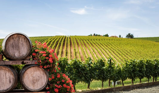 winery-visits