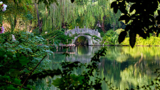 queenstown-gardens