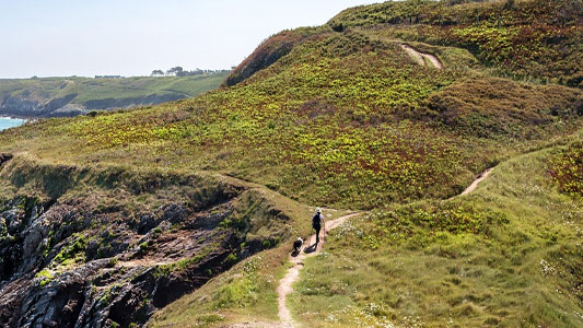 Hiking-and-walking