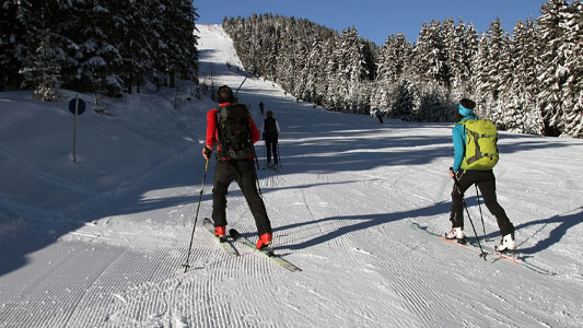 skyline-gondola-in-may